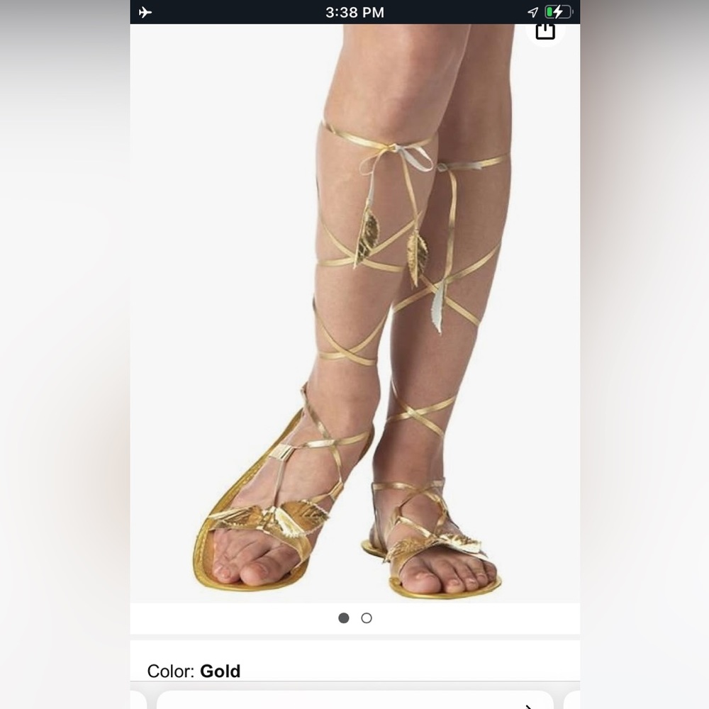 Gold Goddess Sandals by California Closets M/L